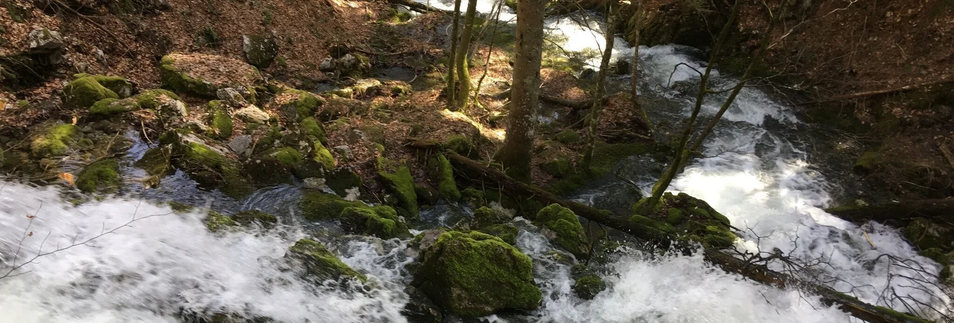 Wanderung Erlaufursprung - Touren-Impression #1 | © TV Hochsteiermark