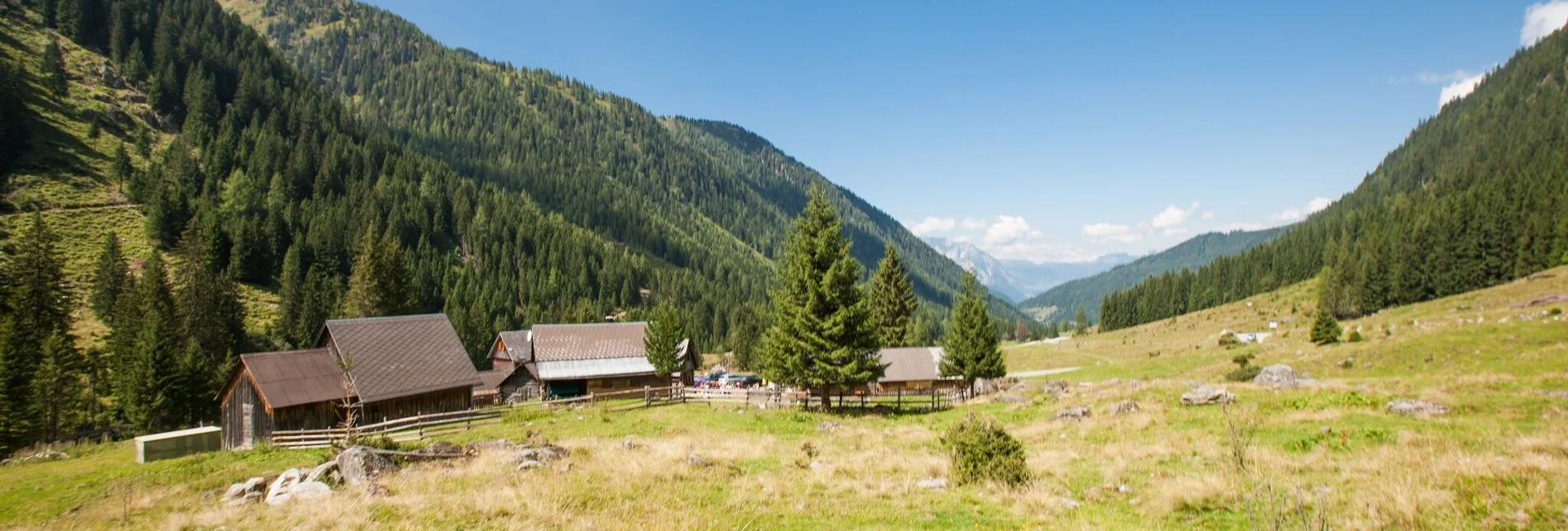 Mountainbike Planneralm Runde (mit Lademöglichkeit) | 17 - Touren-Impression #1 | © Planneralm - Tom Lamm