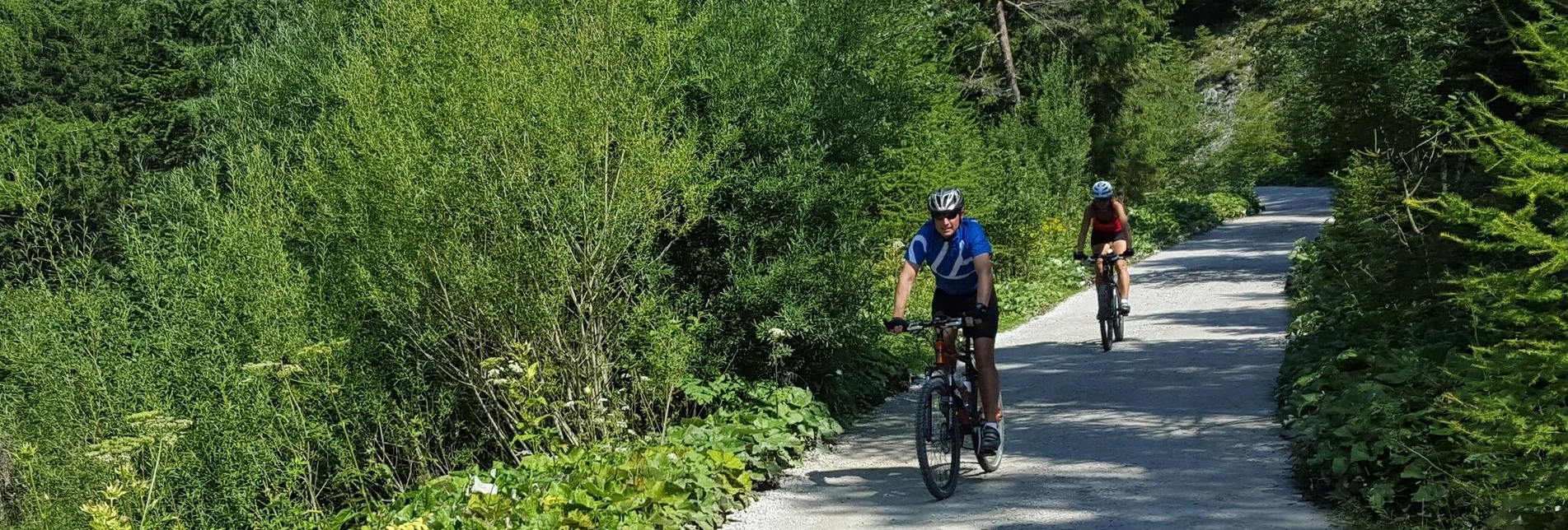 Mountain Biking Viehberg Tour | 14 - Touren-Impression #1 | © Erlebnisregion Schladming-Dachstein