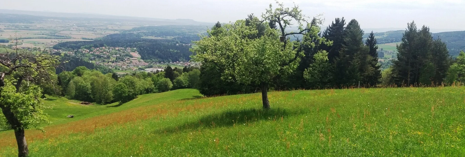 Wanderung Teigitsch-Wartenstein-Runde (über Krottendorf) - Touren-Impression #1 | © Tourismusbüro Lipizzanerheimat