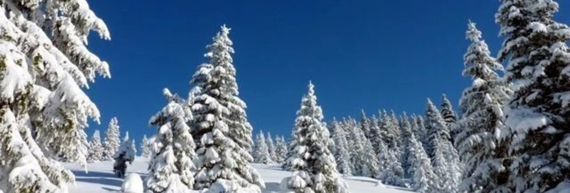 Winter Hiking Fischbach winter walk, Fischbach - Touren-Impression #1 | © Oststeiermark Tourismus