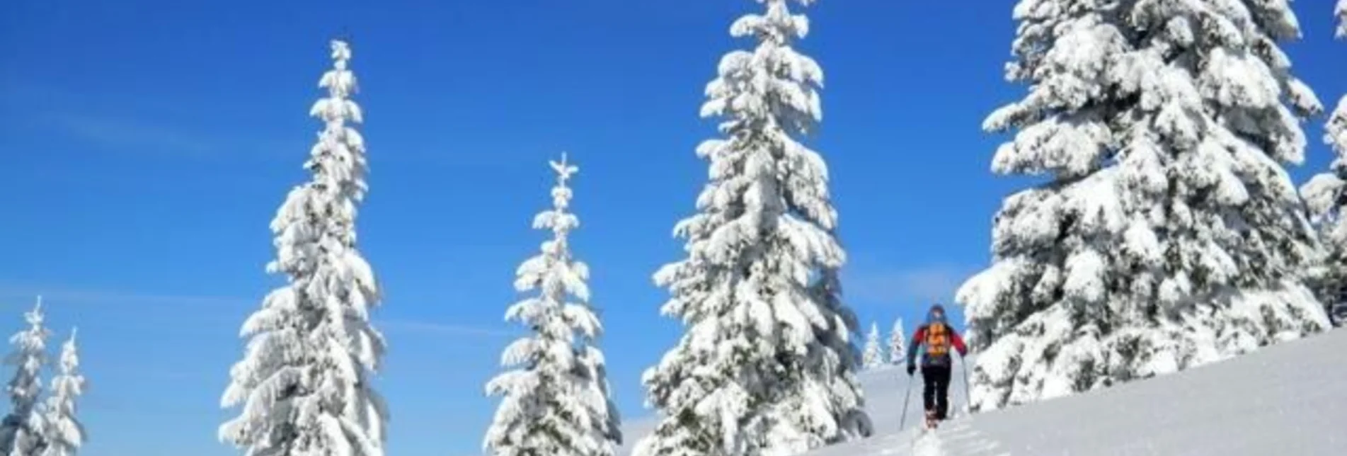 Snowshoe walking Winter fairytale meadow and Reithkogel, Fischbach - Touren-Impression #1 | © Oststeiermark Tourismus