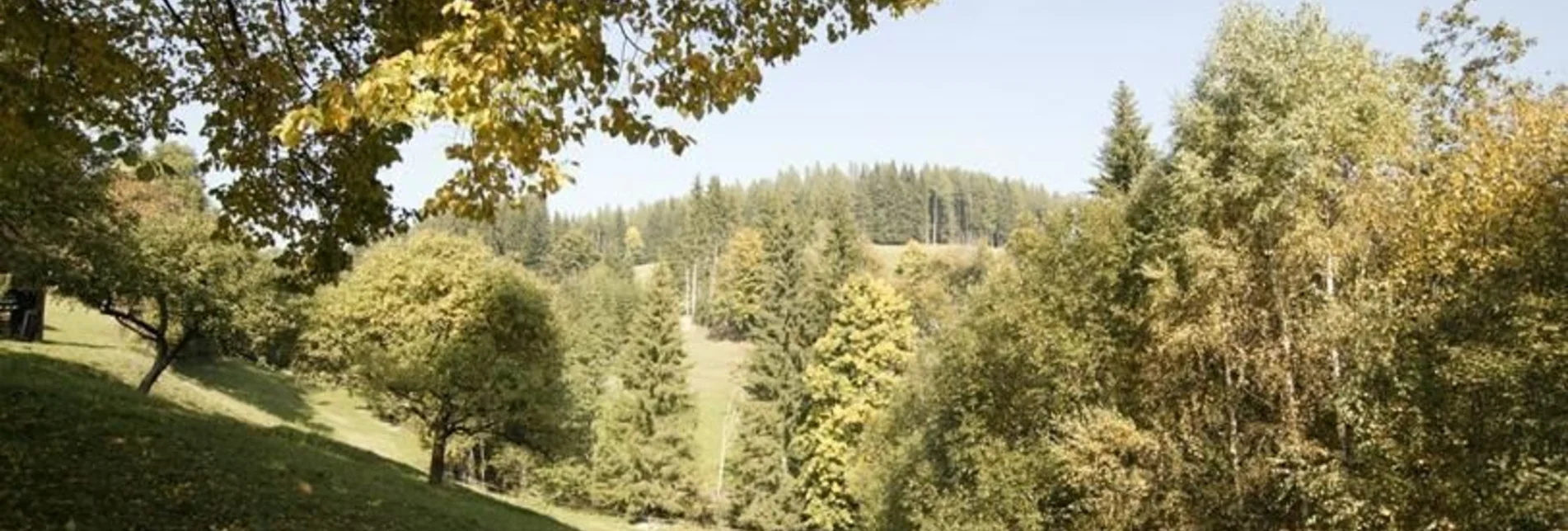 Hiking route Via Fischgraben to the orphan blacksmith, Fischbach - Touren-Impression #1 | © Oststeiermark Tourismus