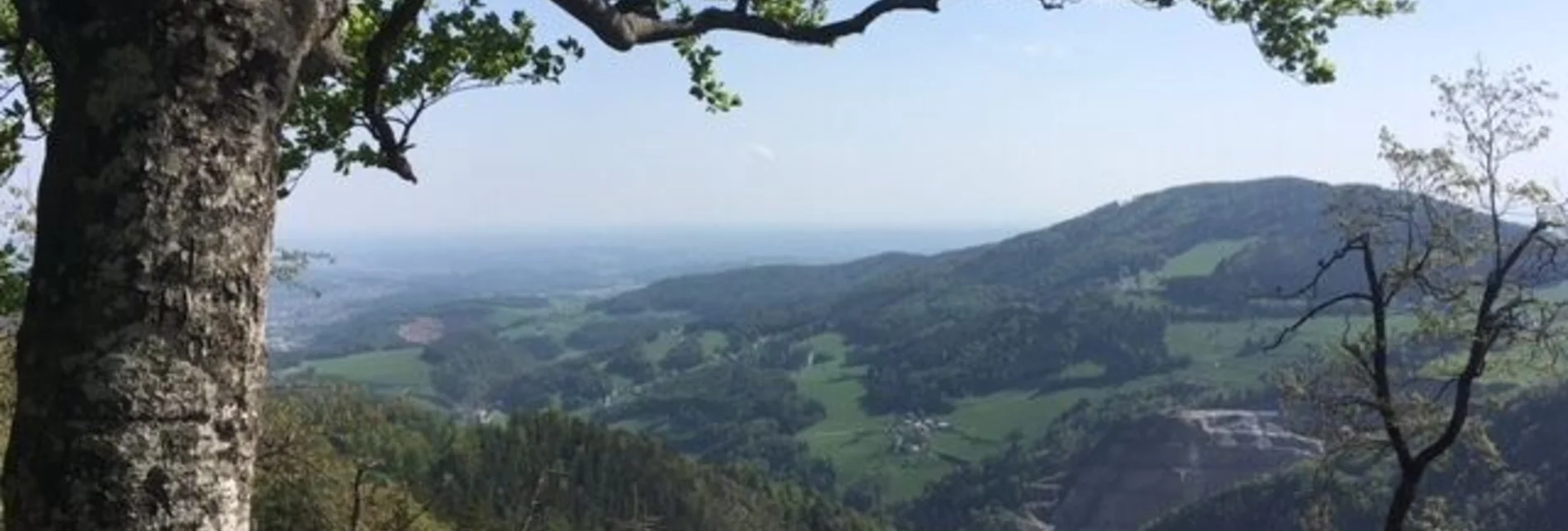 Wanderung Patscha-Runde, St. Kathrein am Offenegg - Touren-Impression #1 | © Oststeiermark Tourismus