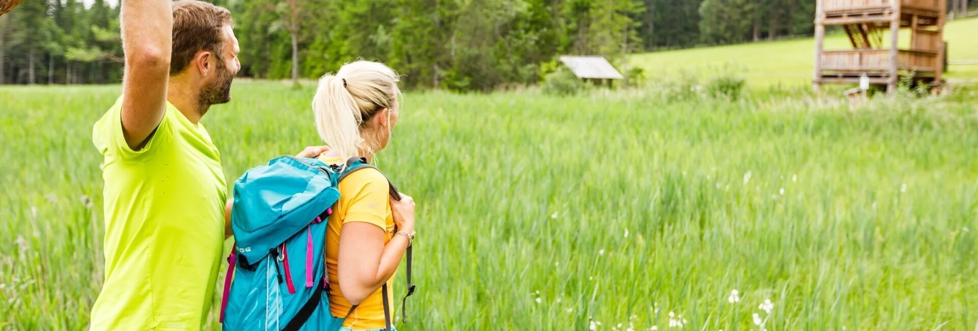 Hiking route Via Natura_Alternative - Touren-Impression #1 | © Tourismusverband Murau