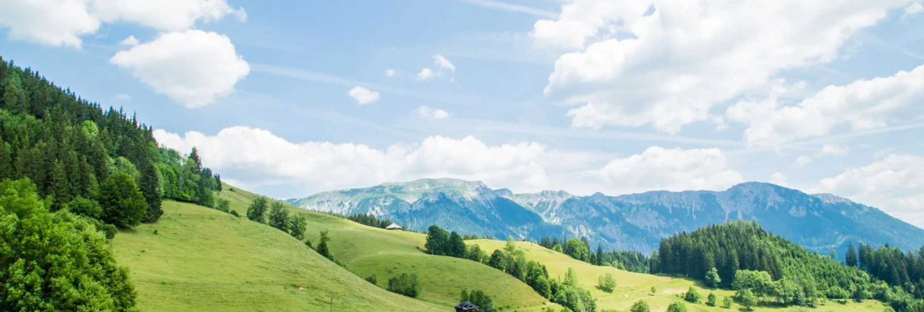 Bike Riding Mit dem E Bike auf die Falkensteinalm - Touren-Impression #1 | © TV Hochsteiermark