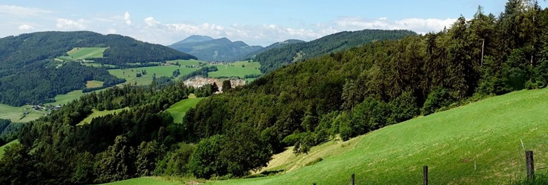 Mountainbike Weizer Almenland Radtour, Variante 3, Alternativroute, St. Kathrein/Offenegg - Weiz - Touren-Impression #1 | © Oststeiermark Tourismus