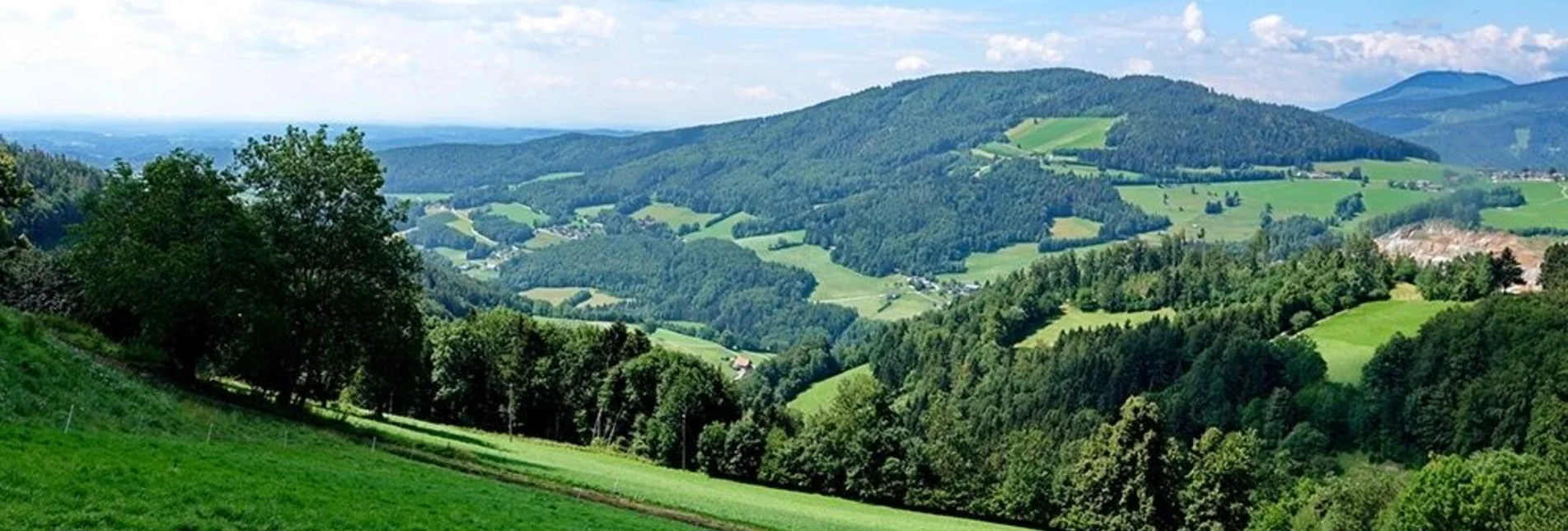 Mountainbike Weizer Almenland Radtour, Variante 2, Streckenabschnitt, Weiz - Landscha - St. Kathrein/Offenegg - Touren-Impression #1 | © Oststeiermark Tourismus