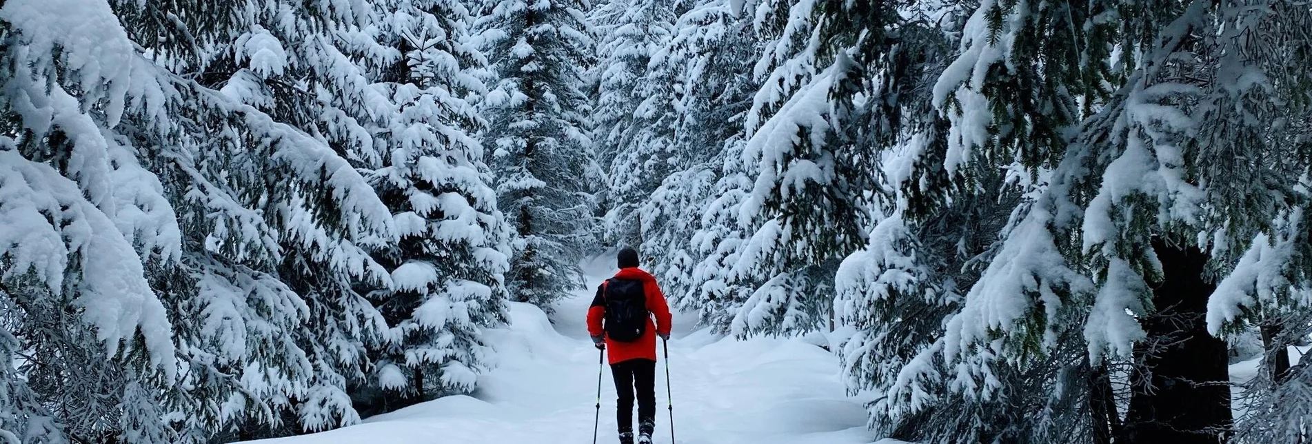 Snowshoe walking Snowshoe hiking tour at Schönmoos - Touren-Impression #1 | © Erlebnisregion Schladming-Dachstein