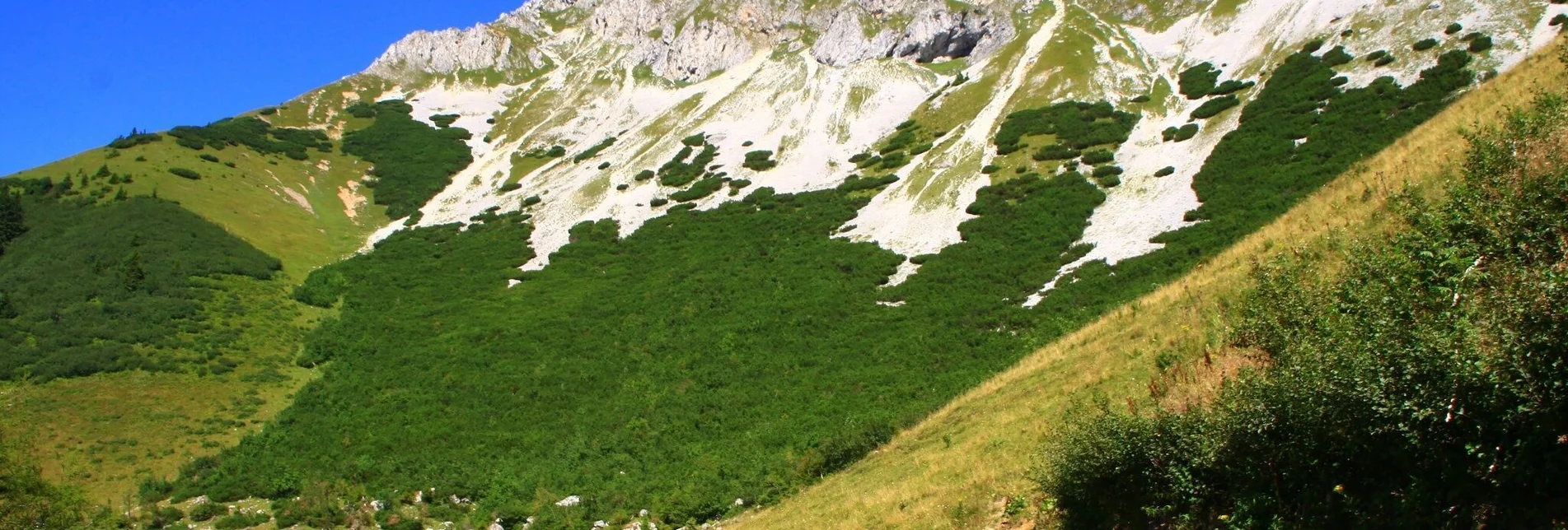 Hiking route Panoramaweg Brunnalm - Touren-Impression #1 | © Herbert Podbressnik