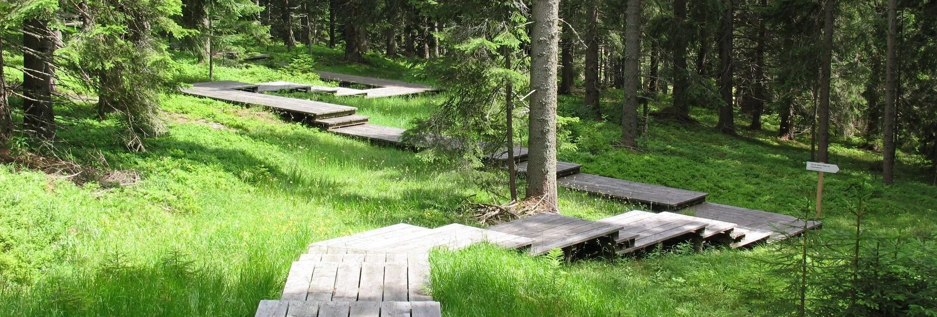 Wanderung Kapellenrunde auf der Hebalm - Touren-Impression #1 | © Werbeagentur SMAC