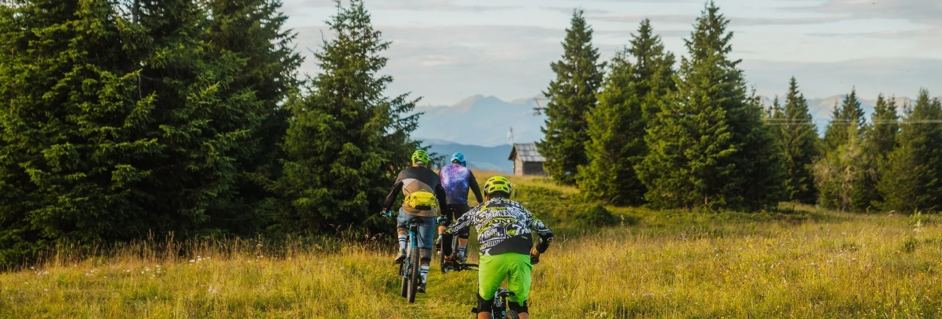 Mountainbike Grebenzen Höhentrail - Touren-Impression #1 | © Tourismusverband Murau