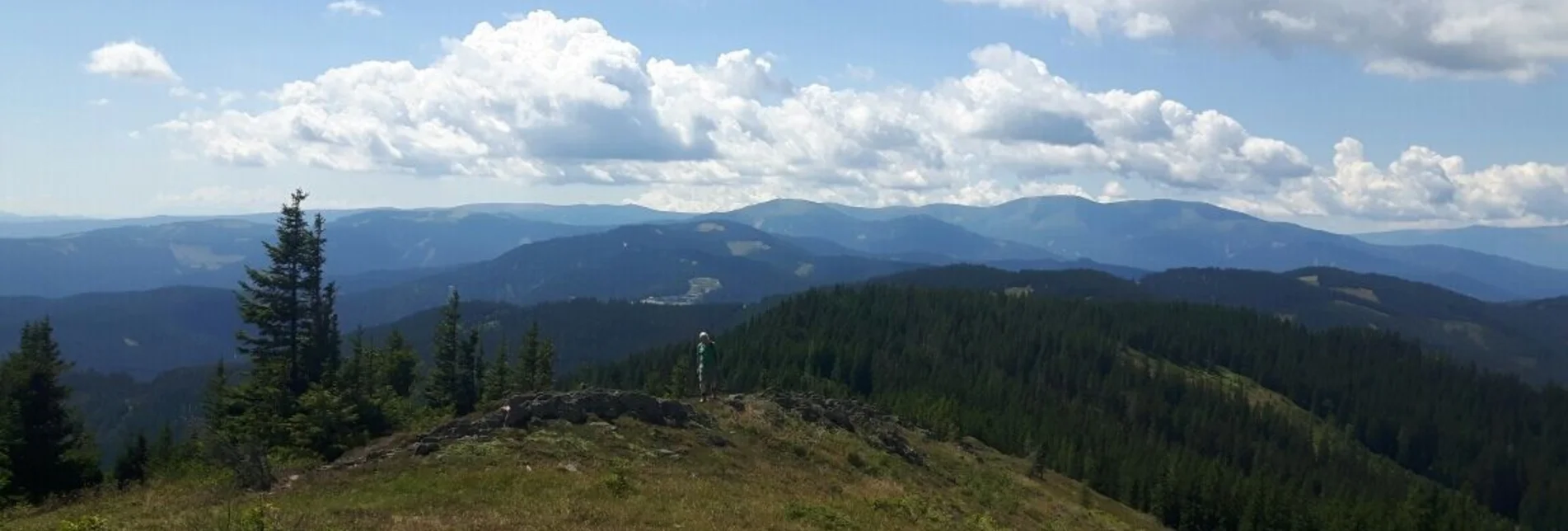 Hiking route Circular hike on the Terenbachalm - Touren-Impression #1 | © Community