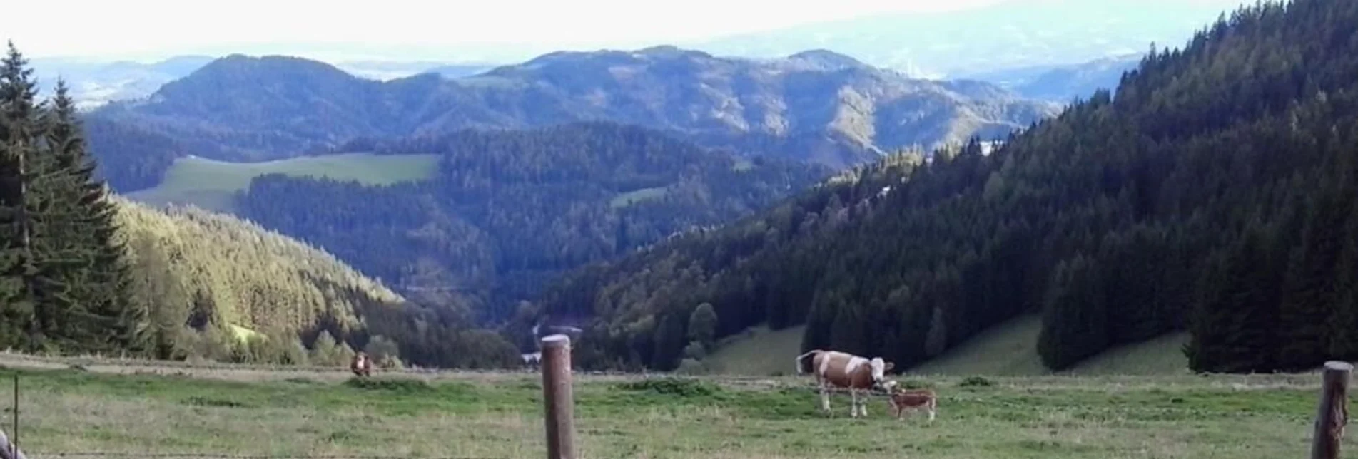 Wanderung Kapitel Runde - Touren-Impression #1 | © Region Graz