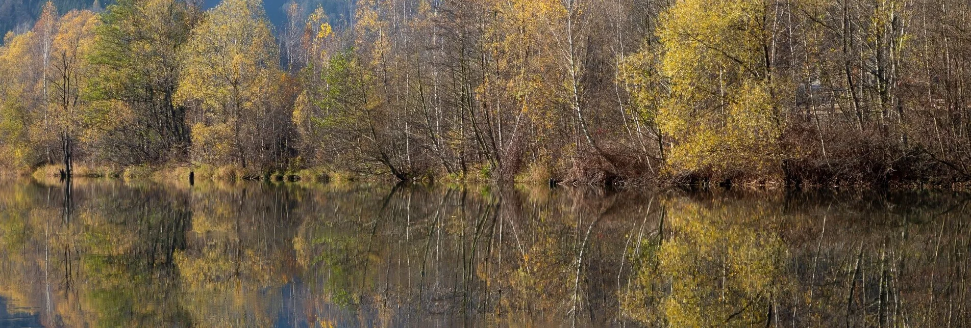 Radfahren Genuss- & Kultur Radrundtour - Touren-Impression #1 | © Region Graz