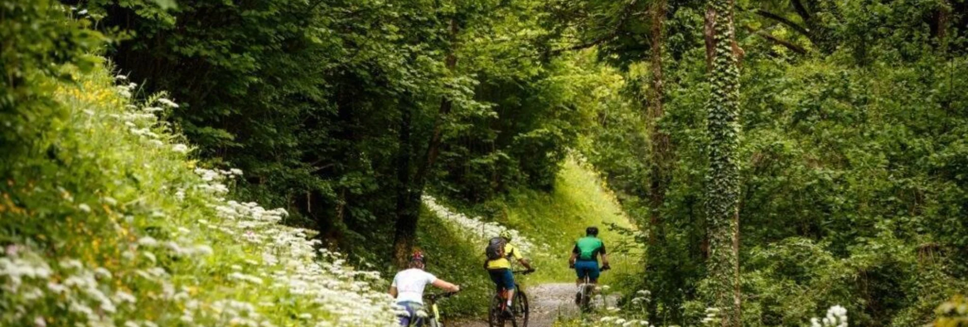 Mountainbike Vom Ennstal ins Steyrtal - Touren-Impression #1 | © TV Gesäuse