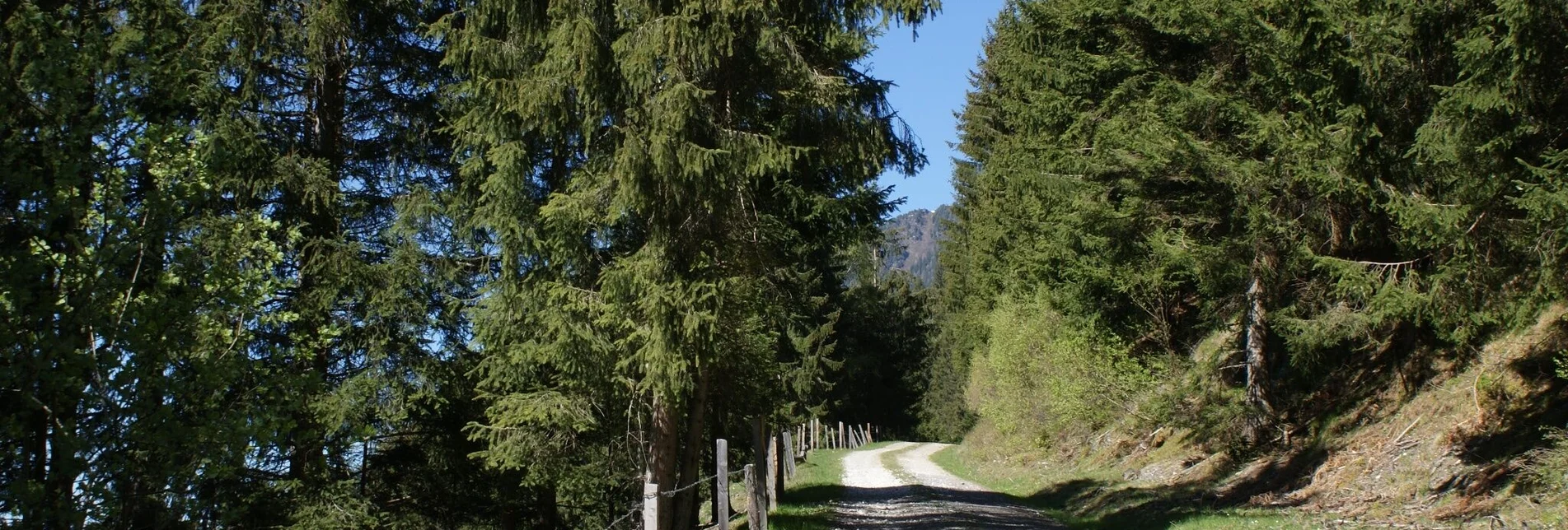 Hiking route Fischeralmweg - Touren-Impression #1 | © Erlebnisregion Schladming-Dachstein