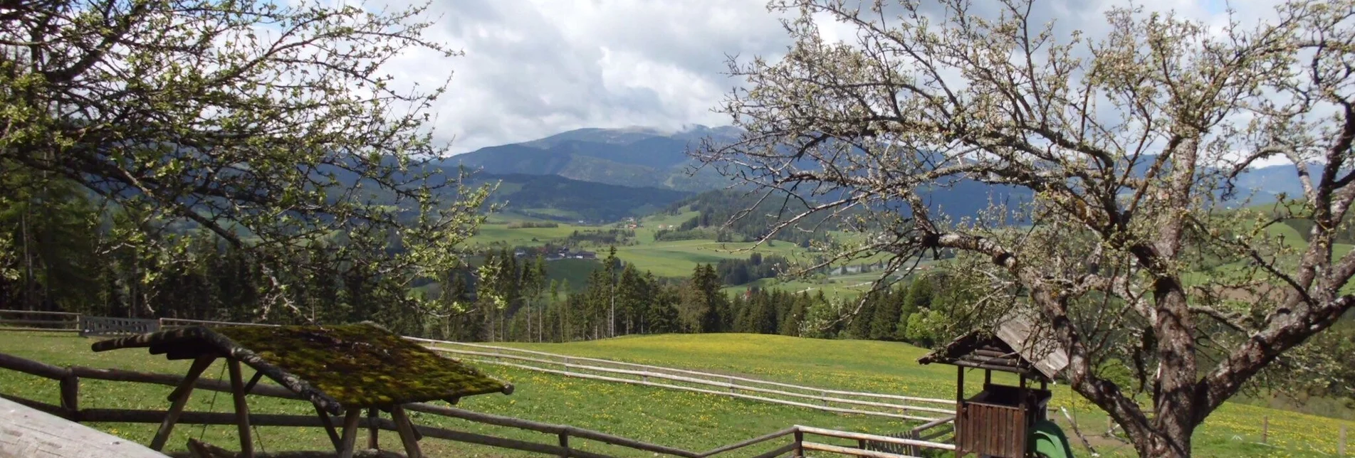 Wanderung Jakobsberg-Runde - Touren-Impression #1 | © Tourismusverband Murau