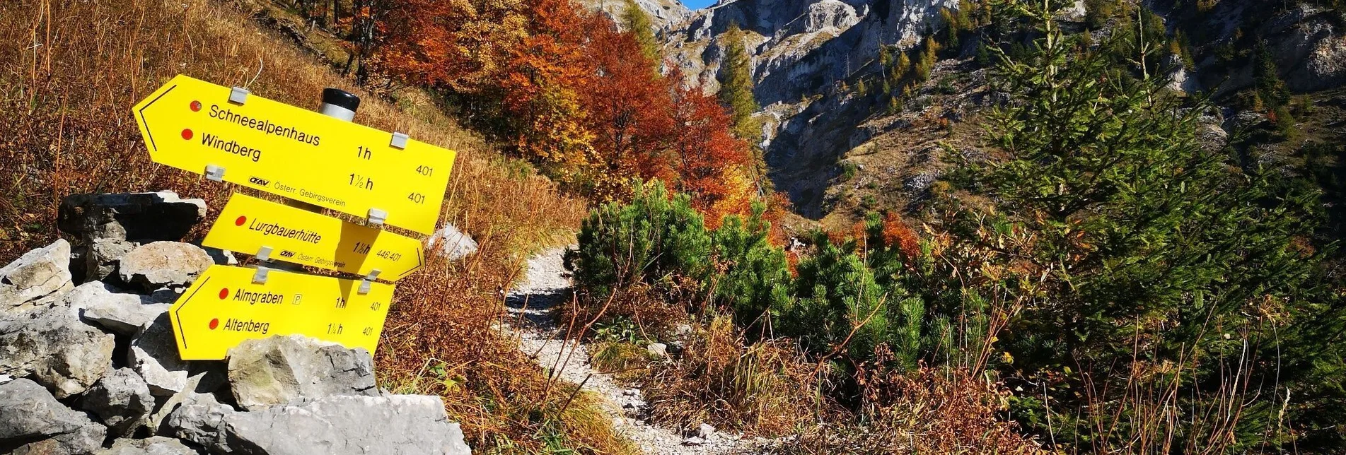 Hiking route Über den Alm- und den Blarergraben auf die Schneealm im Naturpark Mürzer Oberland - Touren-Impression #1 | © TV Hochsteiermark