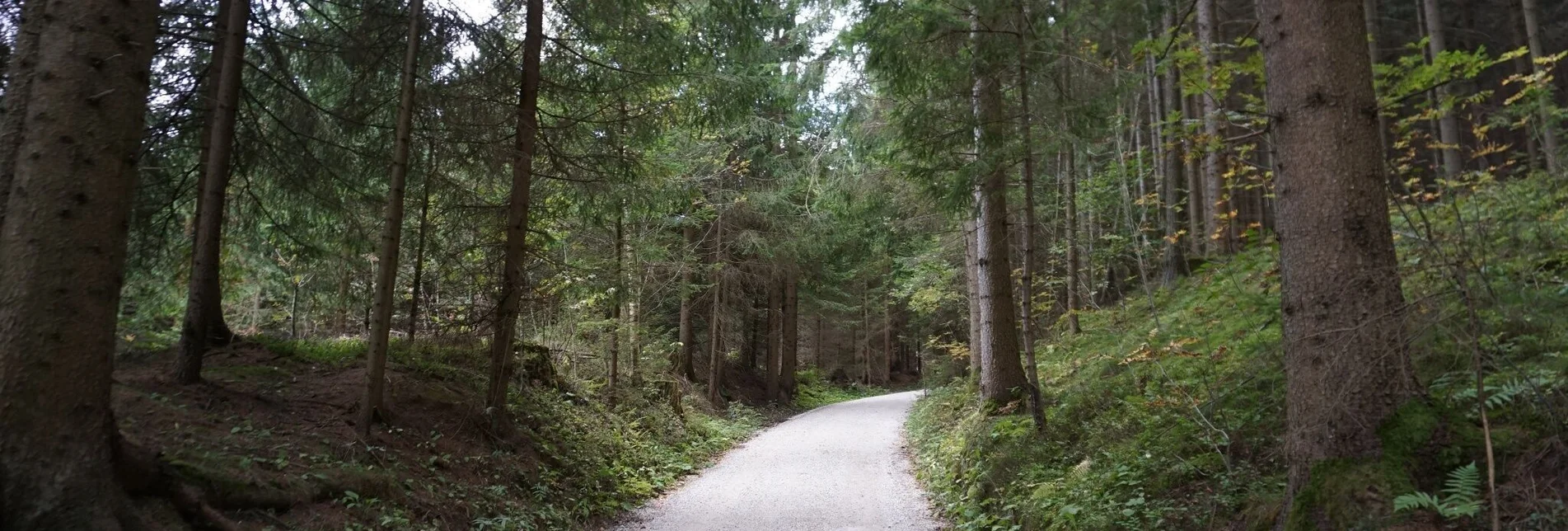 Wanderung Saugmoarunde - Touren-Impression #1 | © Erlebnisregion Murtal