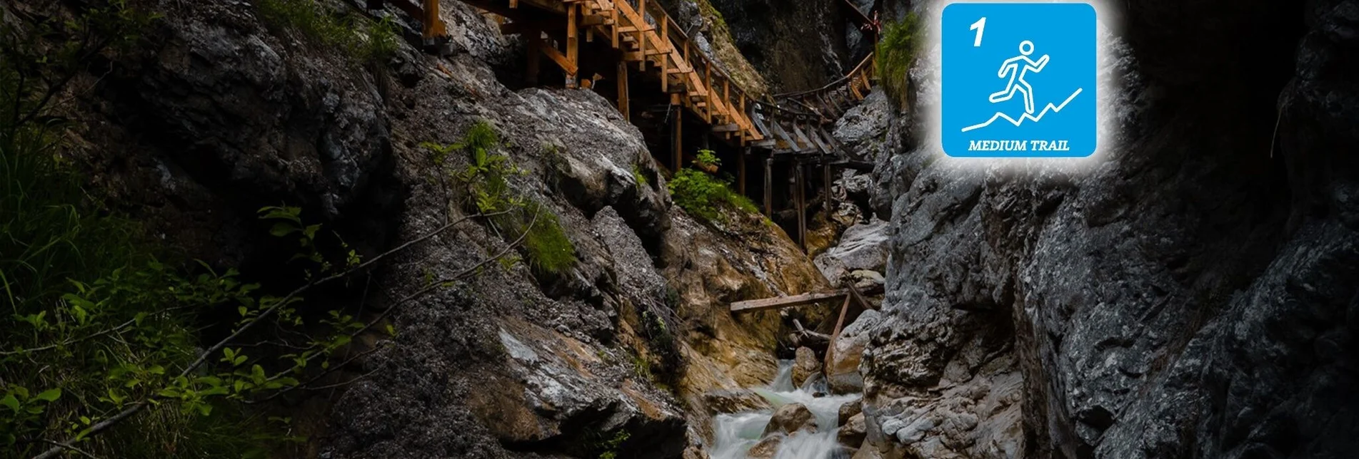 Trail Running Clammy-Trail - Touren-Impression #1 | © Erlebnisregion Schladming-Dachstein