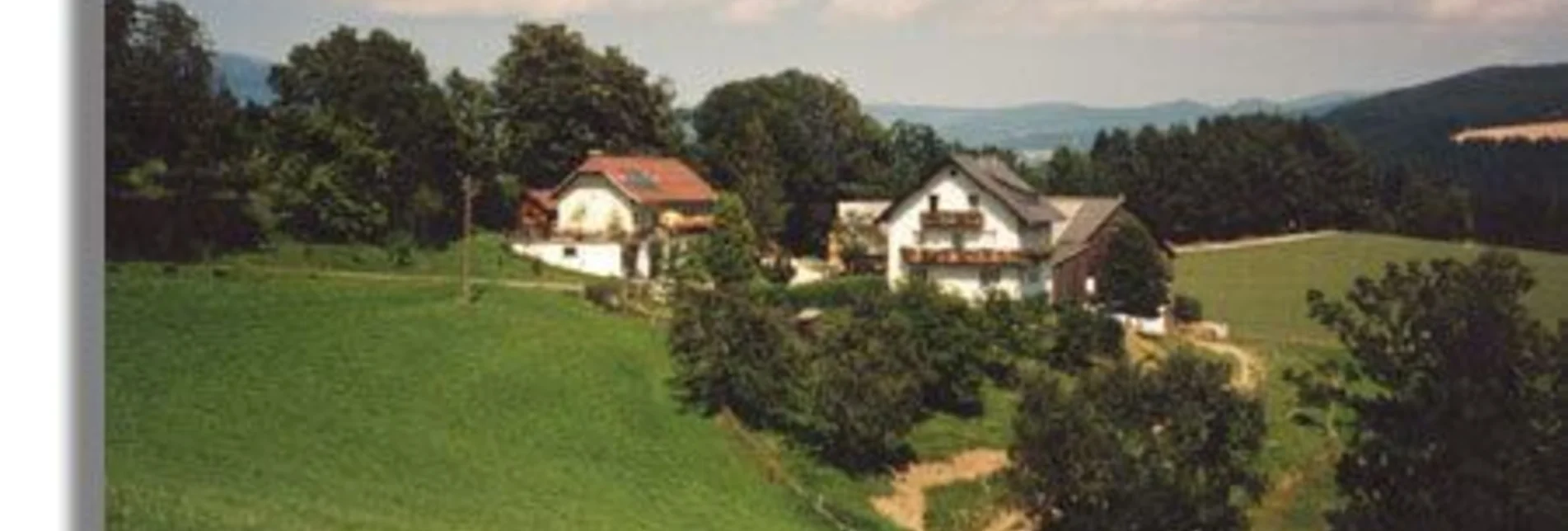 Wanderung Vom Feistritztal nach Falkenstein, Fischbach - Touren-Impression #1 | © Oststeiermark Tourismus