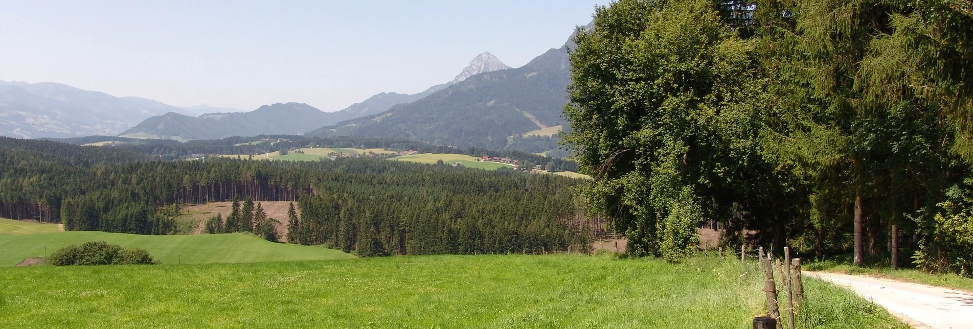 Nordic Walking Movement Arena - Lengdorf Waldrunde - Touren-Impression #1 | © Erlebnisregion Schladming-Dachstein