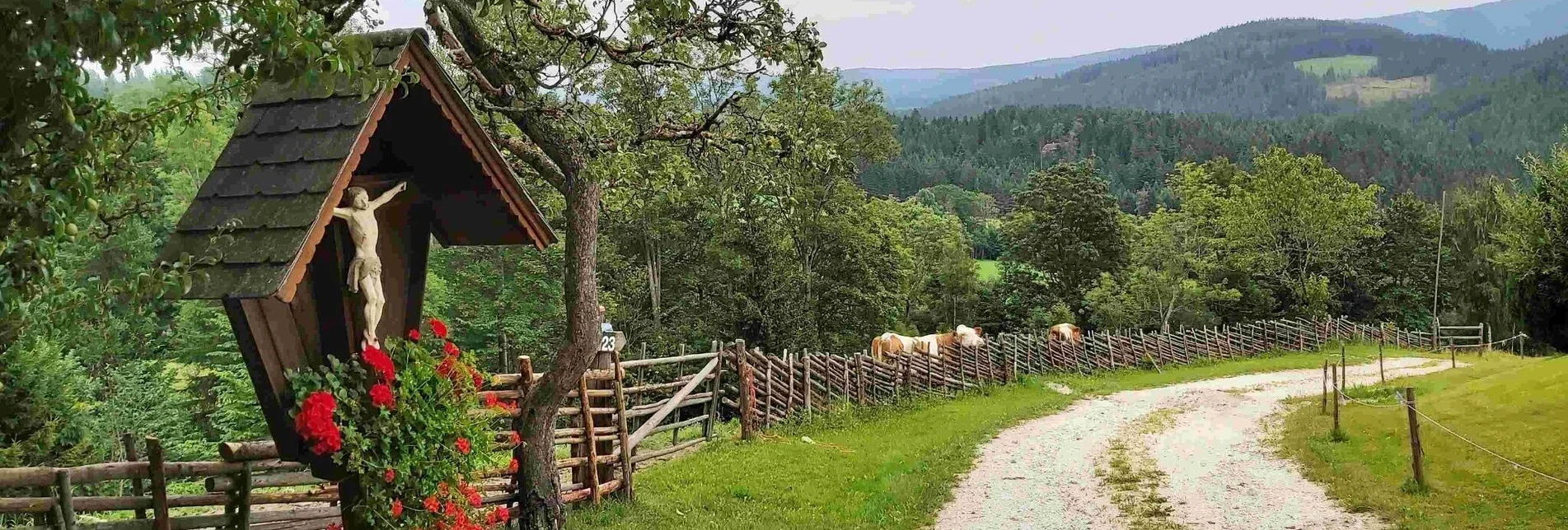 Hiking route Hike to the Katharinenstein, St. Kathrein am Hauenstein - Touren-Impression #1 | © Oststeiermark Tourismus