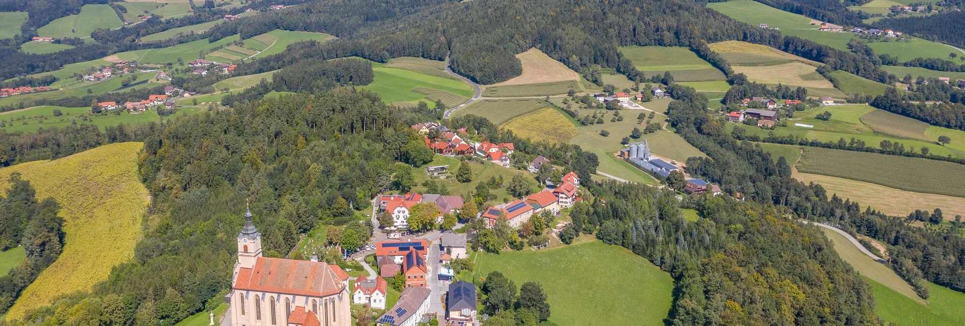 Wanderung Pöllauberg-Runde über Masenberg und Schloffereck, Pöllauberg - Touren-Impression #1 | © Oststeiermark Tourismus