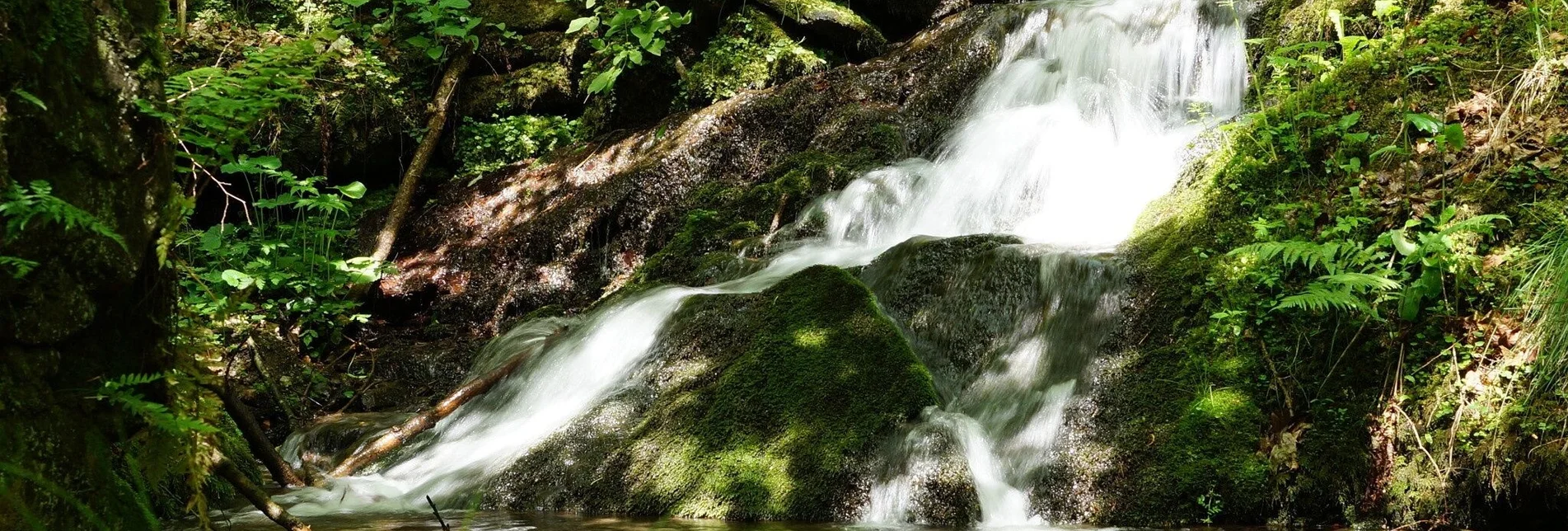 Themen- und Lehrpfad Stenzengreither Themenweg - Touren-Impression #1 | © Oststeiermark Tourismus