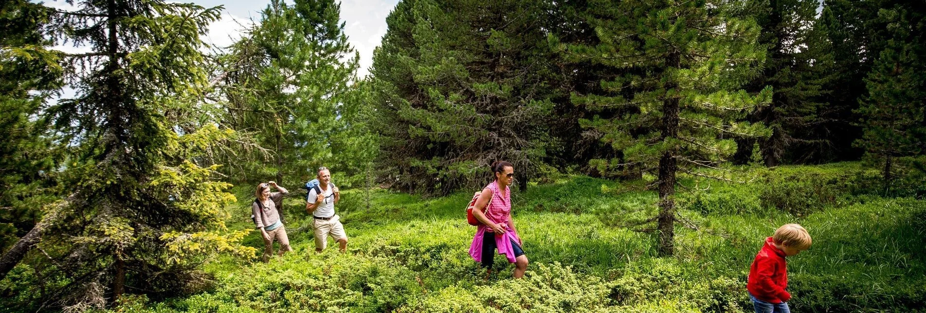 Wanderung Kreischbergrunde - Touren-Impression #1 | © Tourismusverband Murau