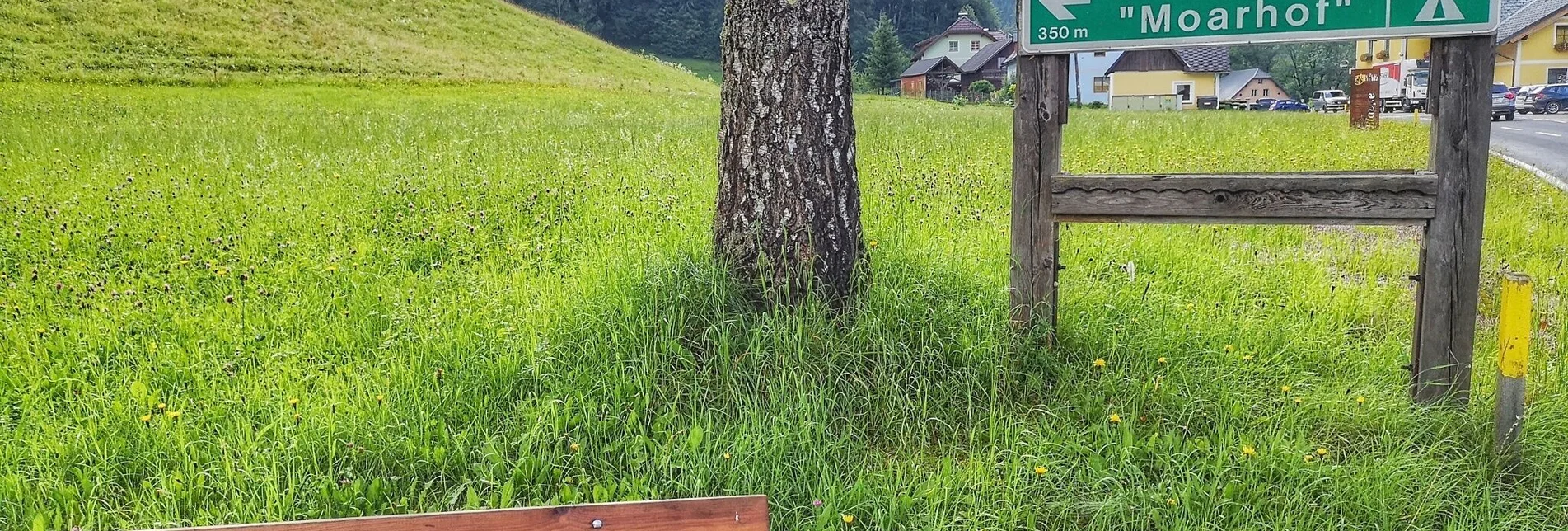 Hiking route Landler Country walk #1 Palfau - Touren-Impression #1 | © TV Gesäuse