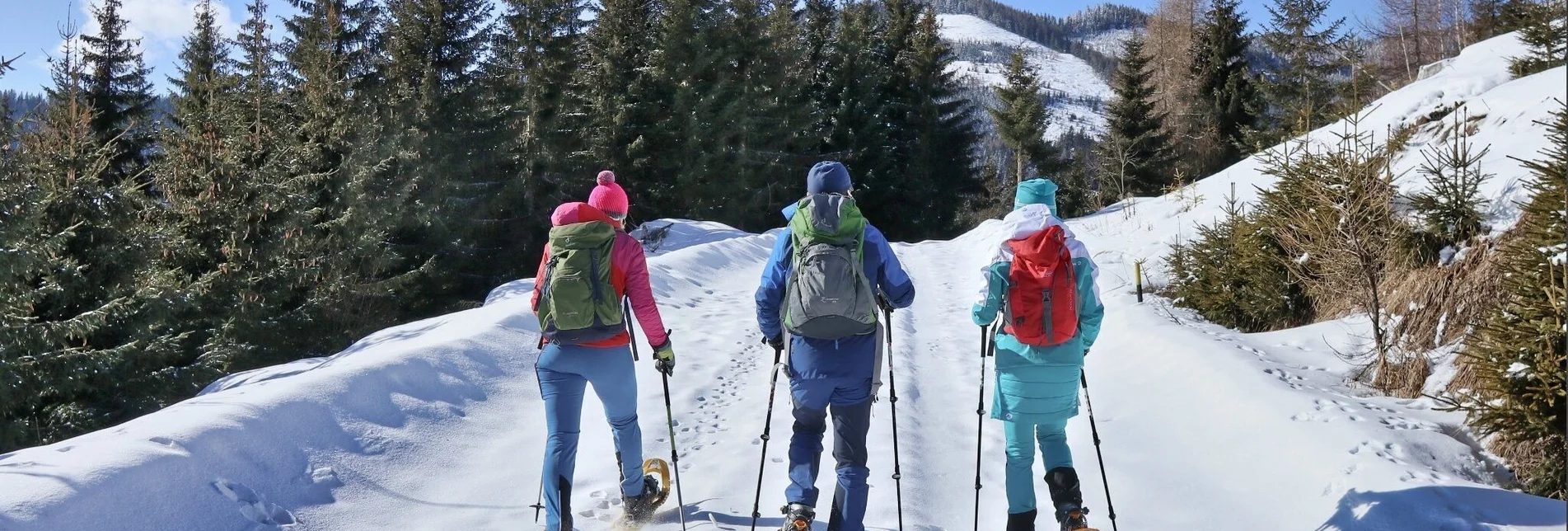 Snowshoe walking Snowshoe hike to Bocksruck - Touren-Impression #1 | © Weges OG