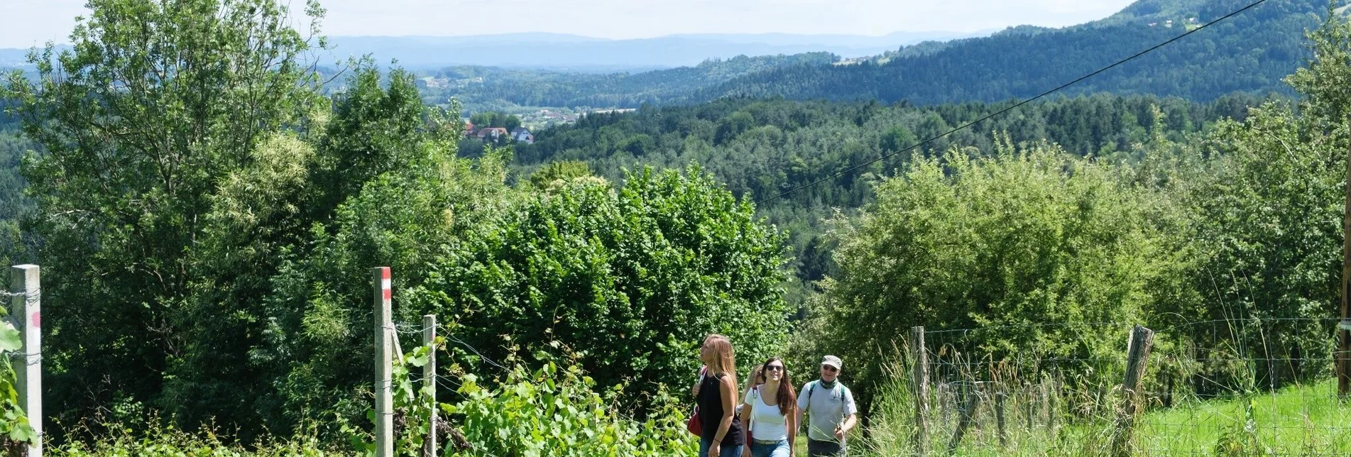 Wanderung Gundersdorfer Rundweg - Weg Nr. S1 + S5 - Touren-Impression #1 | © TVB Südsteiermark/Markus Trinkel