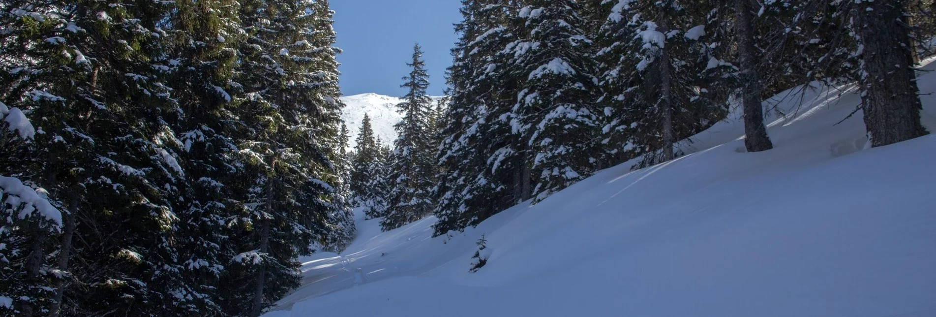 Schneeschuh Schneeschuhwanderung zur Michelirlingalm - Touren-Impression #1 | © Erlebnisregion Schladming-Dachstein