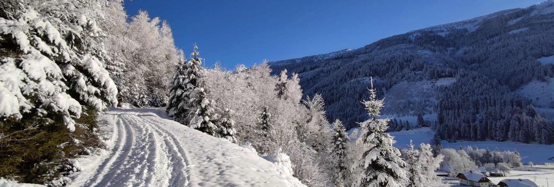 Winter Hiking Winter hike Vorderwald Runde - Touren-Impression #1 | © Erlebnisregion Schladming-Dachstein