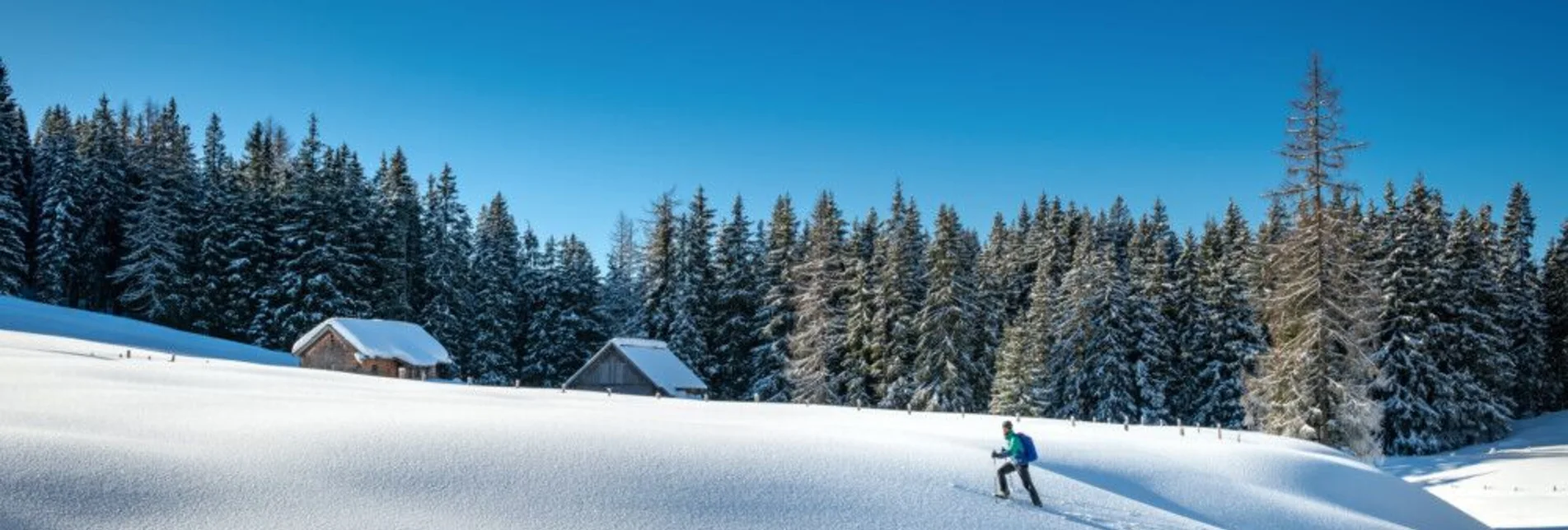 Ski Touring Ski tour Viehbergalm - Touren-Impression #1 | © Erlebnisregion Schladming-Dachstein