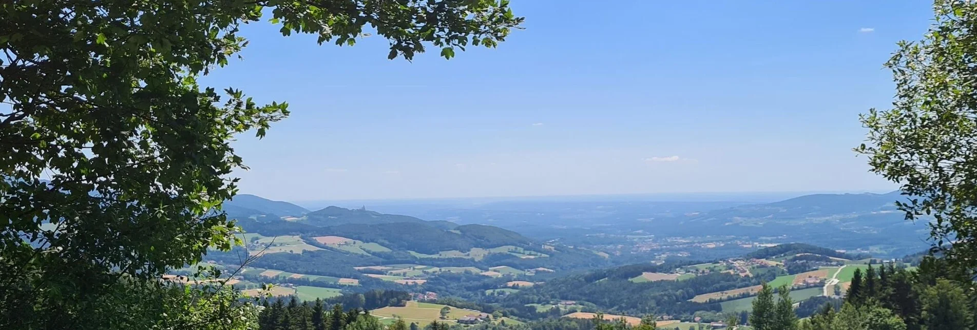 Wanderung Umrundung Naturpark Pöllauer Tal, Pöllau - Touren-Impression #1 | © Oststeiermark Tourismus