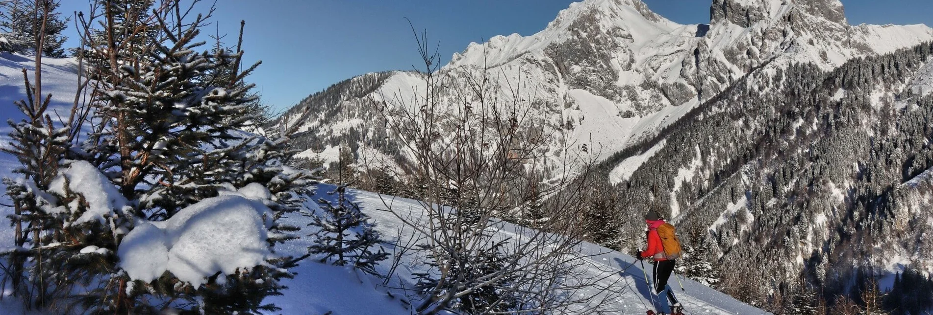 Snowshoe walking Plöschkogel - Touren-Impression #1 | © Weges OG