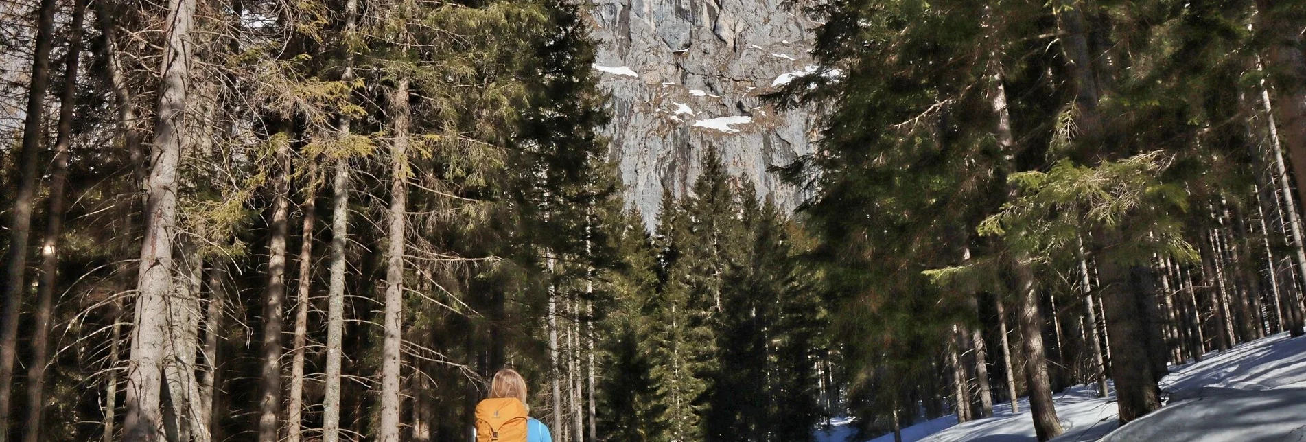 Schneeschuh Sonnschienalm - Touren-Impression #1 | © Weges OG