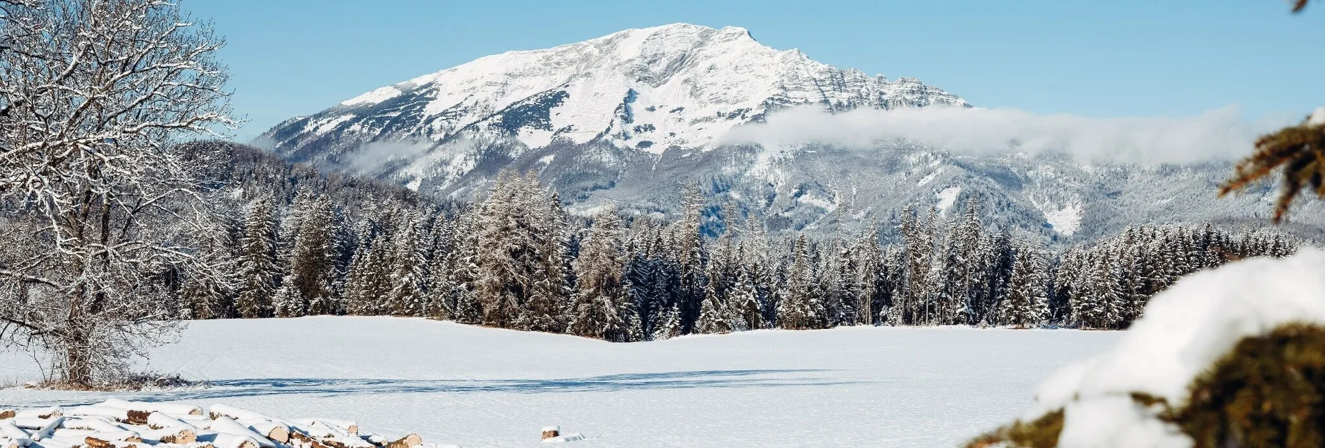 Snowshoe walking Romantic Round Hiking Trail in Mitterbach - Touren-Impression #1 | © TV Hochsteiermark