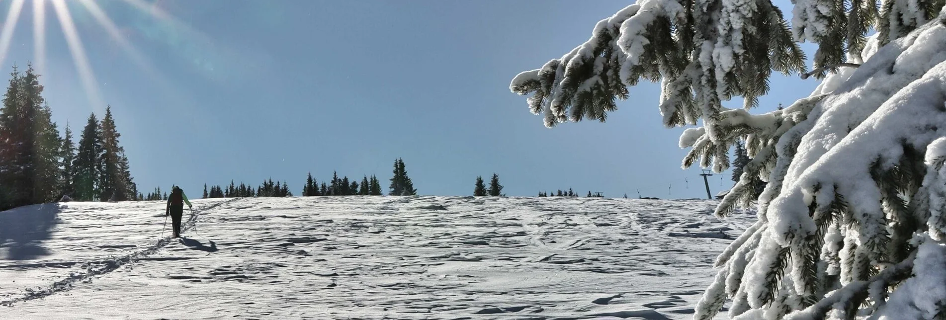 Snowshoe walking Schneeschuhwanderung Moschkogel - Touren-Impression #1 | © Weges OG