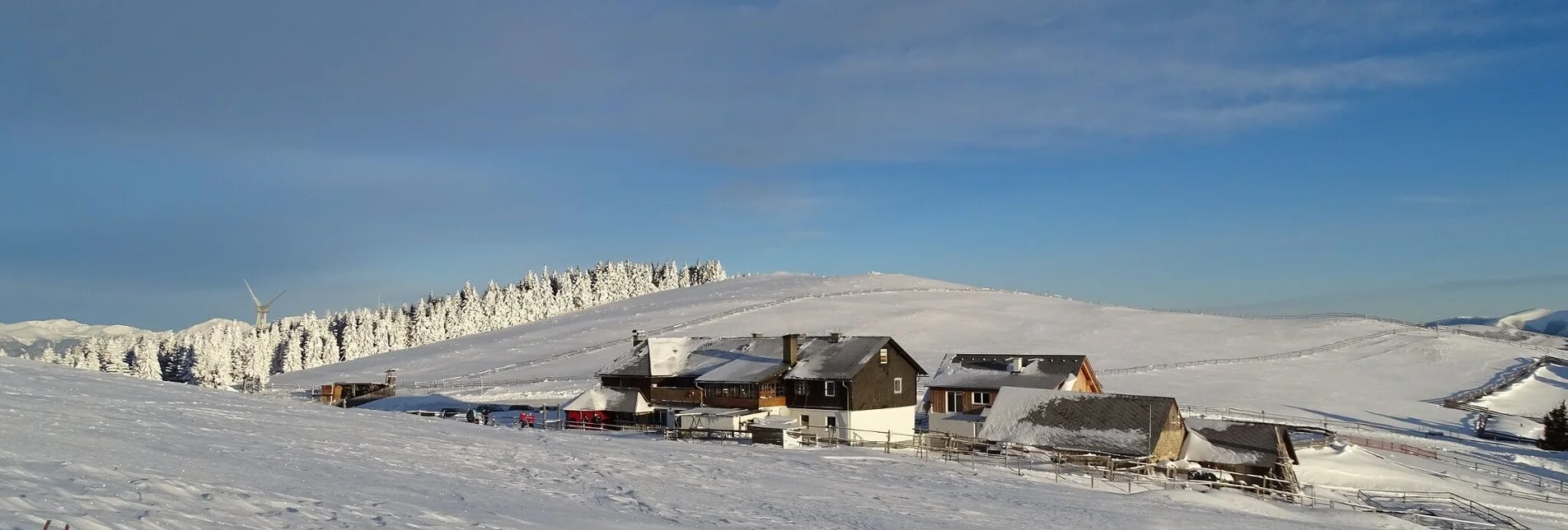 Schneeschuh Schneeschuhwanderung Rappoldkogel vom Alten Almhaus - Touren-Impression #1 | © WEGES OG