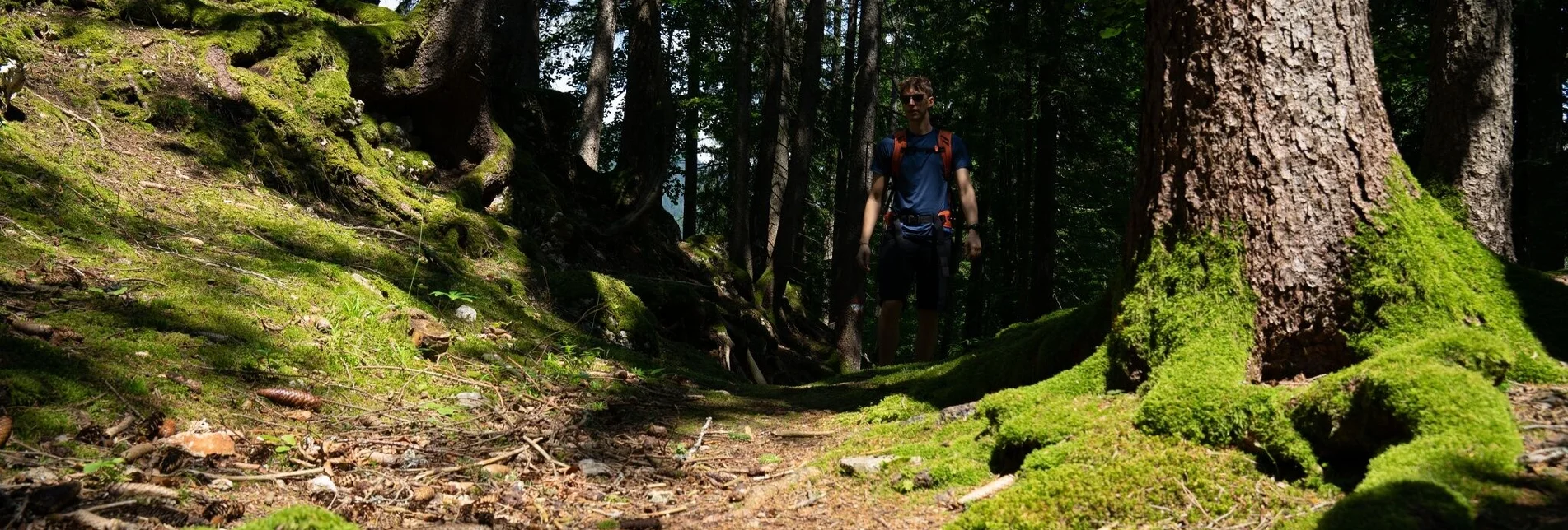 Wanderung Aicherlstein - Touren-Impression #1 | © Erlebnisregion Schladming-Dachstein