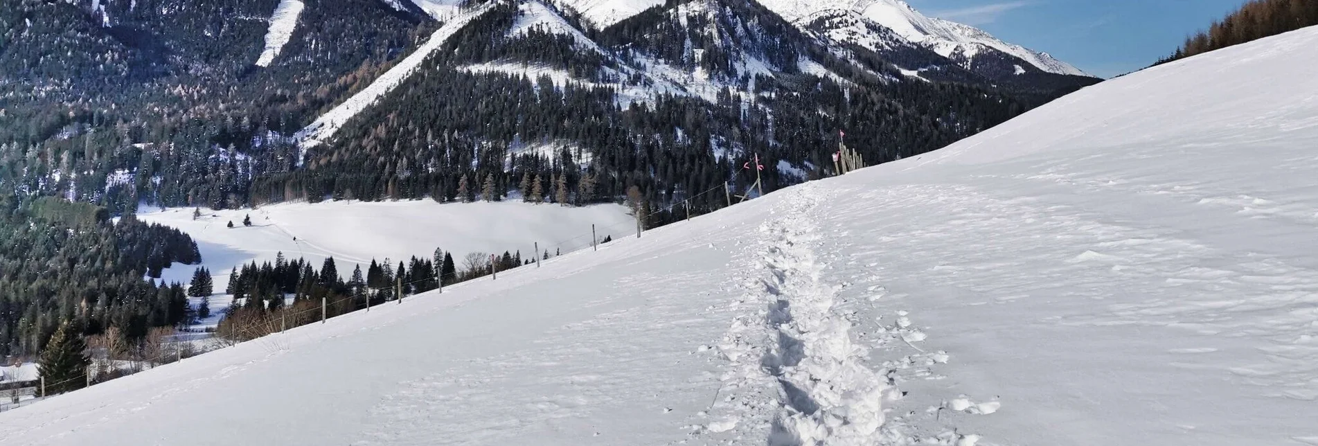 Snowshoe walking Hohentauern circular hike - marked snowshoe trail - Touren-Impression #1 | © Weges OG