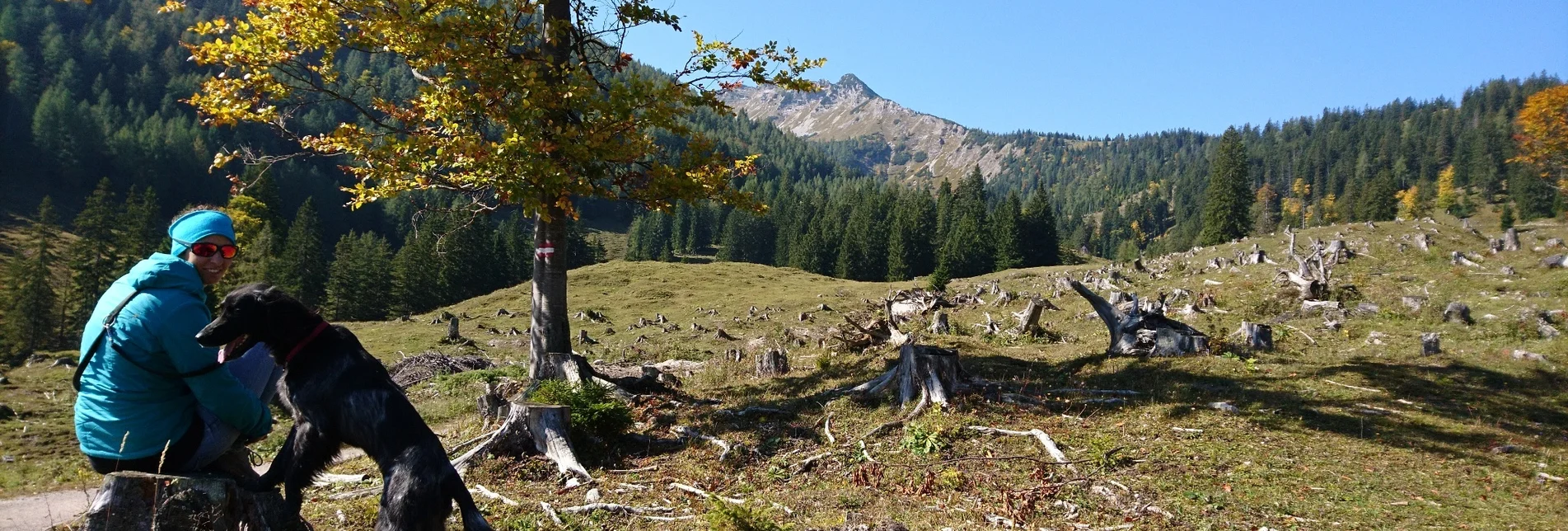 Hiking route Via the Kräuterinalm to the Hochstadl - Touren-Impression #1 | © TV Hochsteiermark