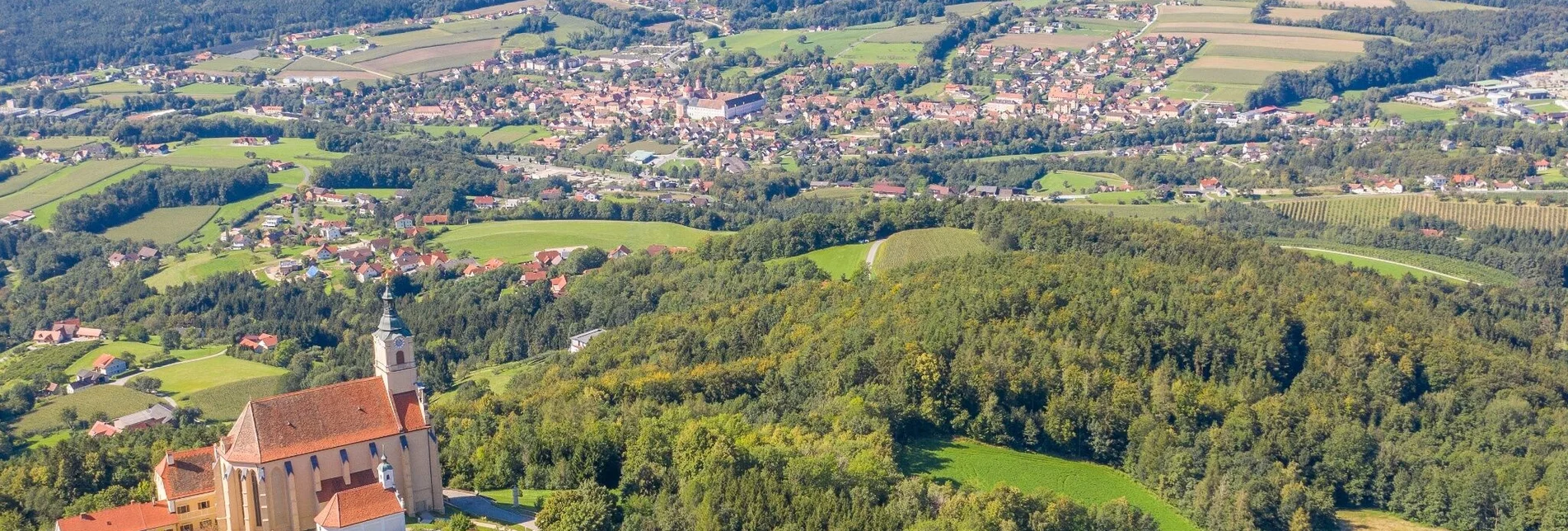 Radfahren Rad-Runde zur Ringwarte, Pöllauberg - Touren-Impression #1 | © Oststeiermark Tourismus