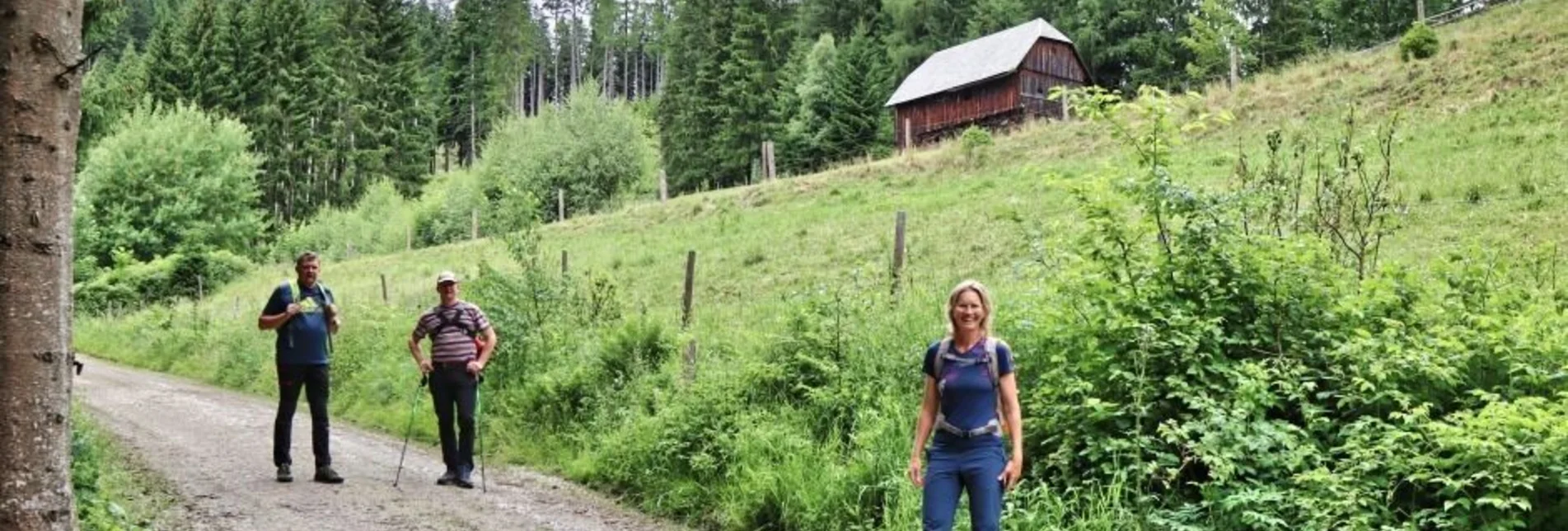 Hiking route Rabenstein from Mautern - Touren-Impression #1 | © Tourismusverband ERZBERG LEOBEN