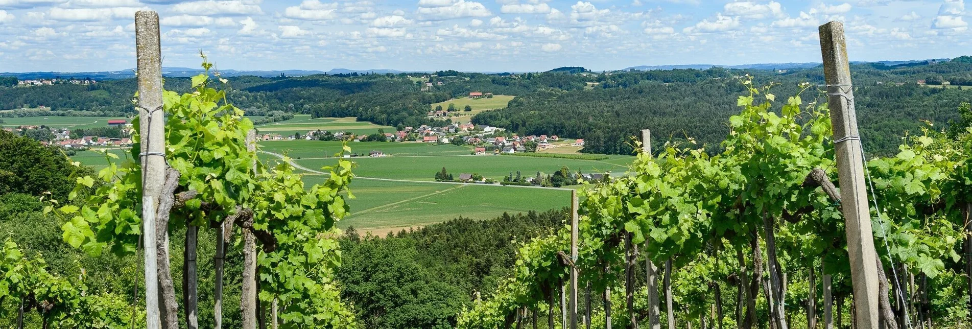 Wanderung Heimschuher Runde Süd Variante 5a - Touren-Impression #1 | © Südsteiermark