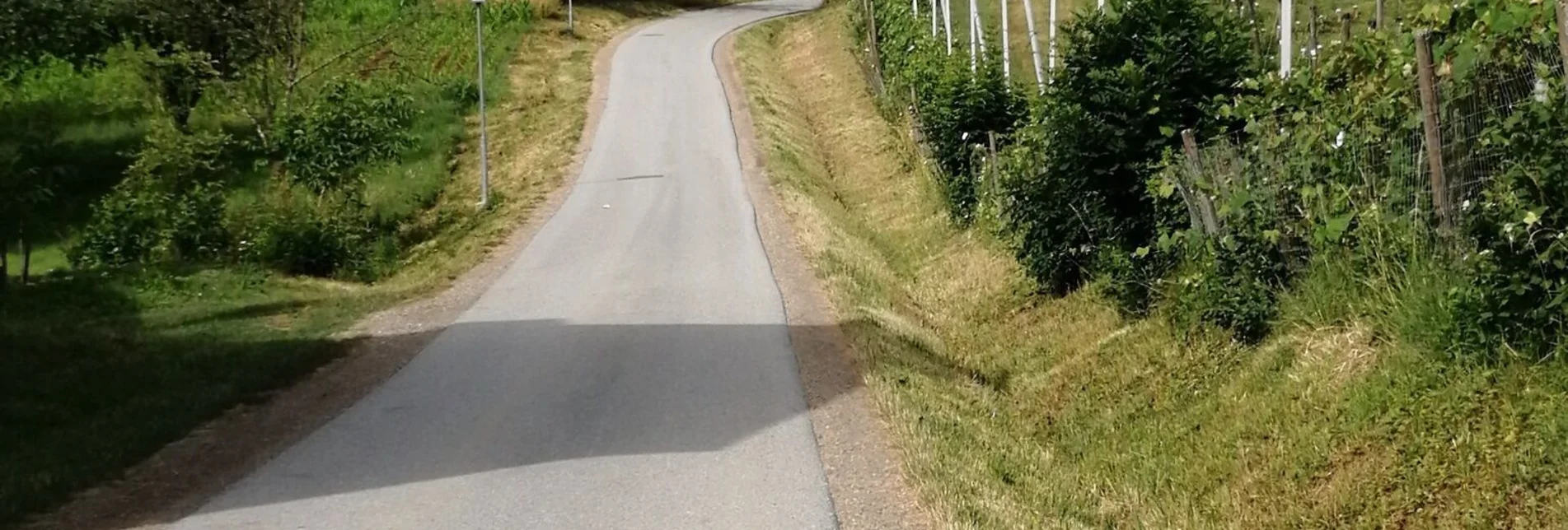 Jogging Evening Run - Touren-Impression #1 | © Schilcherland Steiermark